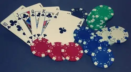 8855bet vip