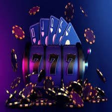 8855bet vip